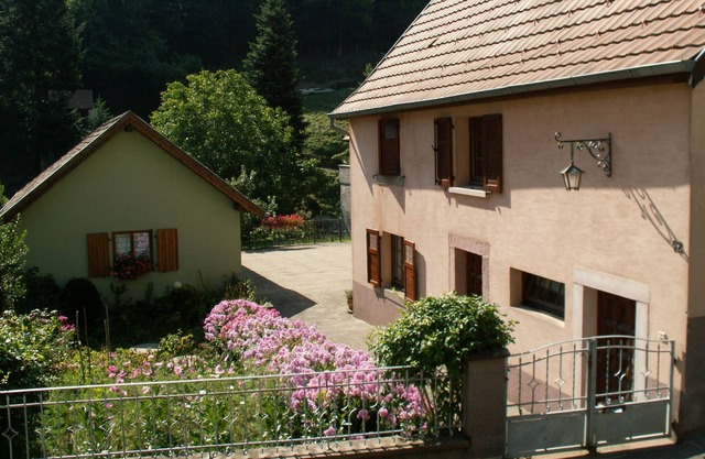 Detached renovated house with forest view