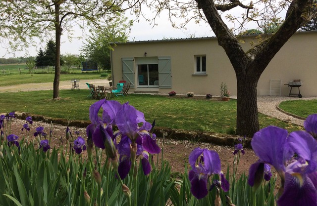 Detached single-storey apartment on private property