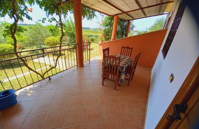 Dhoma plazhi natyra pins