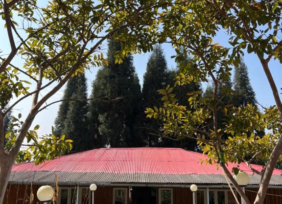 Dilpali Home Cum Farm stay