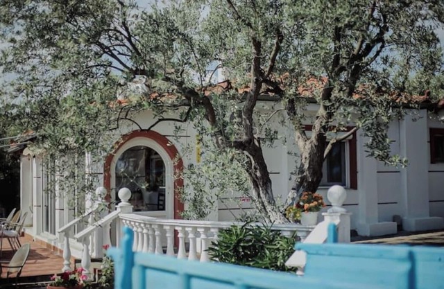 Dimitris Resort : The pool home nearby!