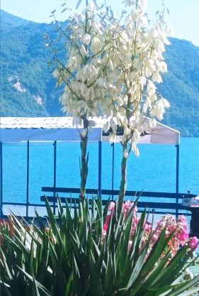 Dina apartman Jablaničko jezero