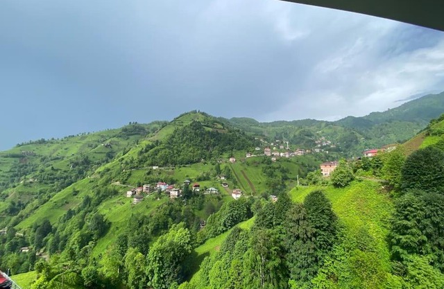 Doğal hayat için bizi seçin