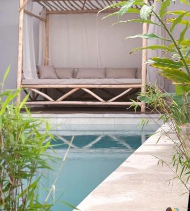 Dodoterla - BoisBlanc