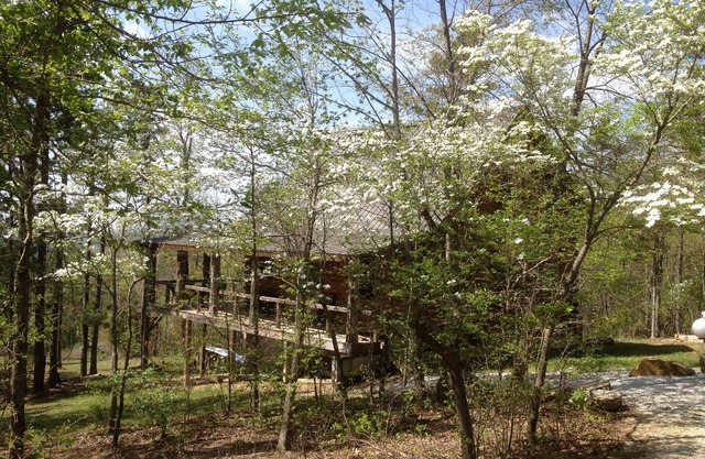 Dogwood Cabin, Deer Lodge Cabin Rentals is a Secluded Ozark Mountain Log Cabin