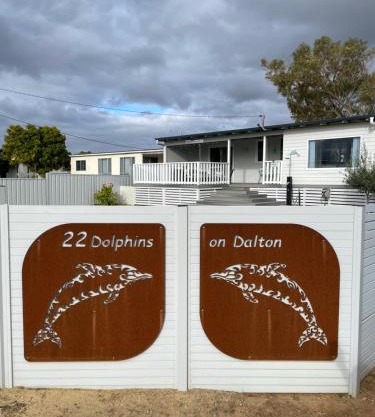 Dolphins on Dalton