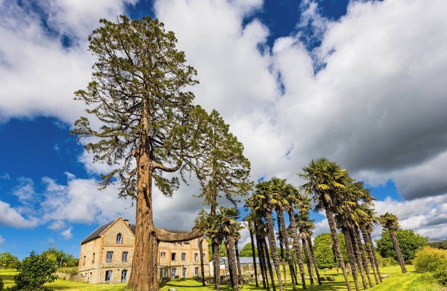 Domaine du Plessis Kaër.