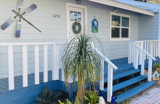“Dragonfly Camp” Springs Paradise!