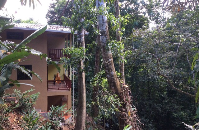 Drake BayTown, Mango St Cason w A/C, Osa Pen. Gateway to Corcovado