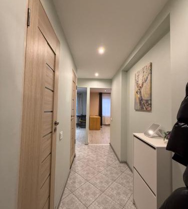 Dream Apartment