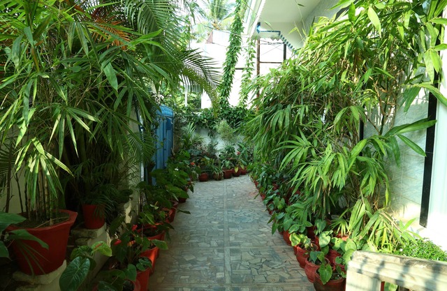 Dream Catcher Home Stay