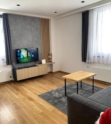 Dream Forrest 405 Zlatni javor