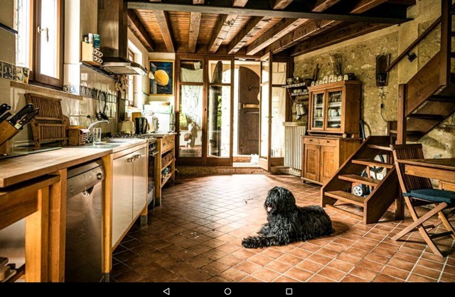 Dream house in the midst of lemons, olives, oleander, in the vineyard