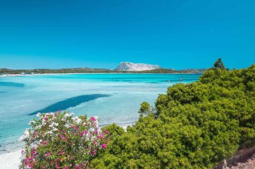 Dreams & Comfort San Teodoro