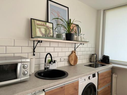 DvaroStudio jaukus butas centre self-check-in