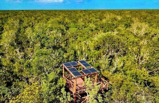 Eco-luxury Cabin 100 meters from Cenote Dos Ojos!