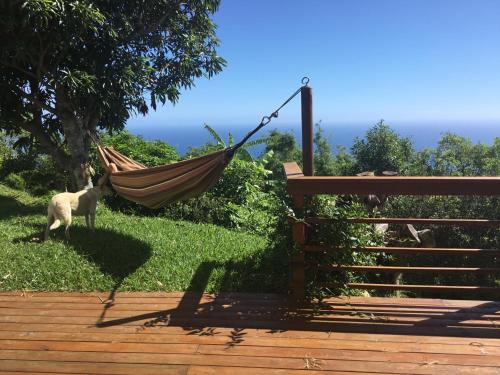 Ecolodge vue Océan Indien