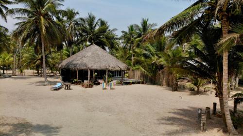 EcoPalapa Mimí