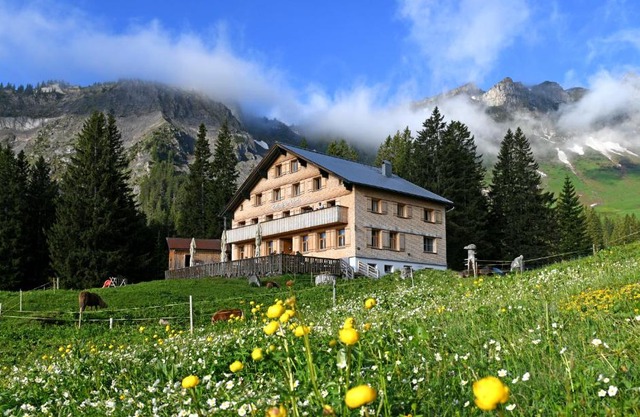 Edelweiß am Öberle