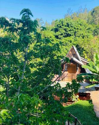 El campo en Jarabacoa