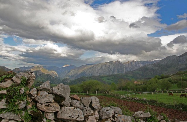 El Patín de Monchu