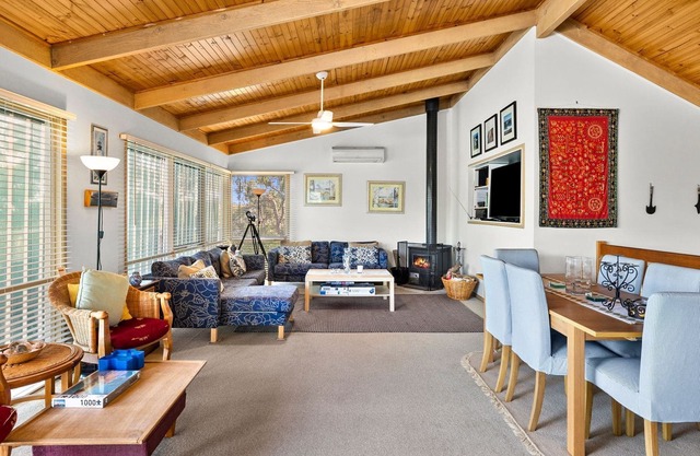 Elandra - Fun For Everyone