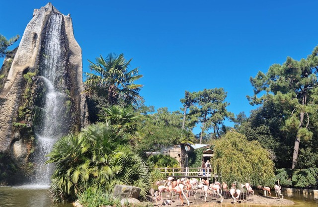 Enjoy peace and relaxation in this large holiday home with an inviting garden.