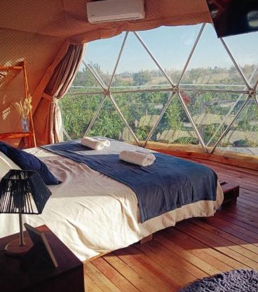 Entre racimos, glamping entre viñedos en bodega