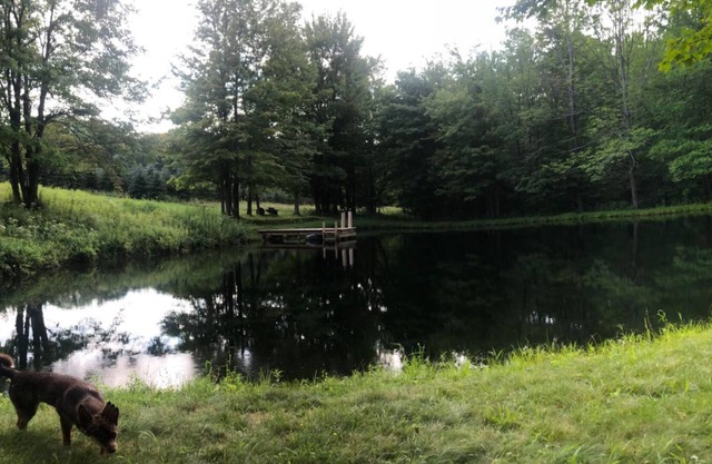 Escape to a Private land locked hideaway great for hunting/fishing and family.