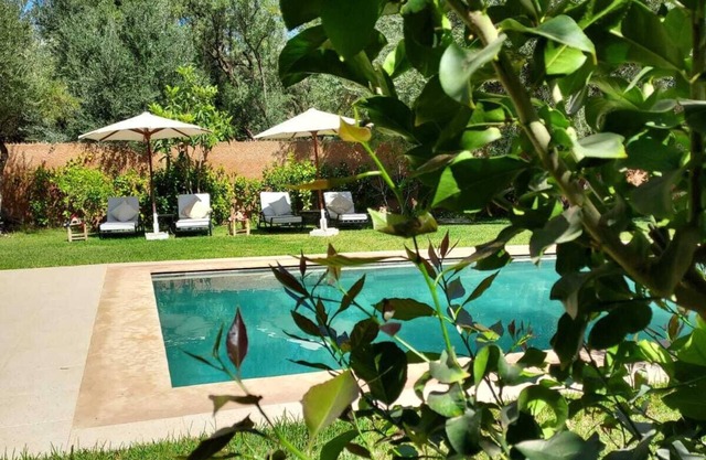 Escape to an Oasis of Serenity