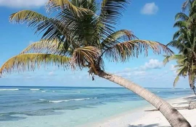 Escape to Paradise at Charming Holiday Lodge, Addu City Meedhoo in Maldives