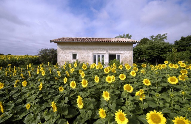 Exceptional site for those who love the countryside, nature, calm, peace