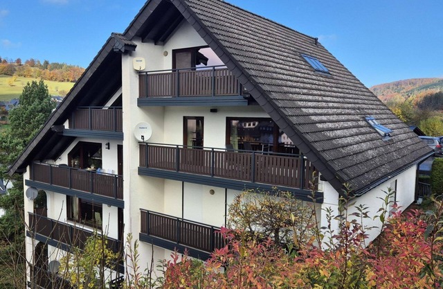 Exclusive apartment with terrace and sauna, close to Willingen and beautiful hiking trails