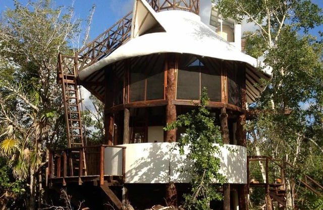 Exotic Eco House in Jungle with Private Cenote