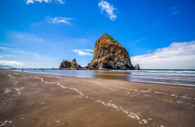 Expansive Queen Studio Near Beach Has Fireplace, Full Kitchen, Beach-view Deck!