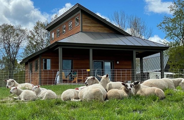 Experience life on a Vermont Farm in a Beautiful Modern Cabin - Stunning Views!
