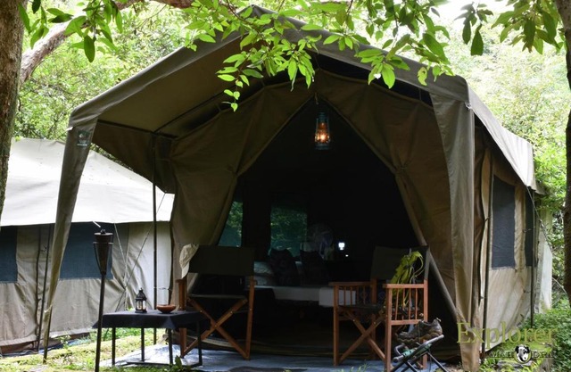 Explorer by Eco Team - Wasgamuwa National Park