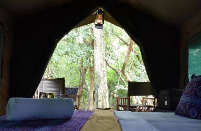 Explorer by Eco Team - Wasgamuwa National Park