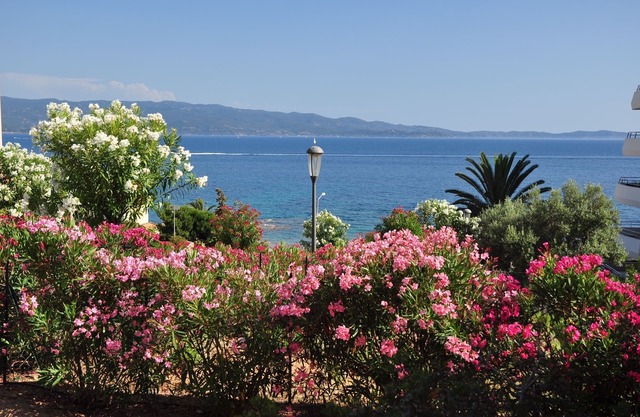 F2, TerraceView Sea, Beach 50m, Wifi, Clim, Rte des Îles, Quiet