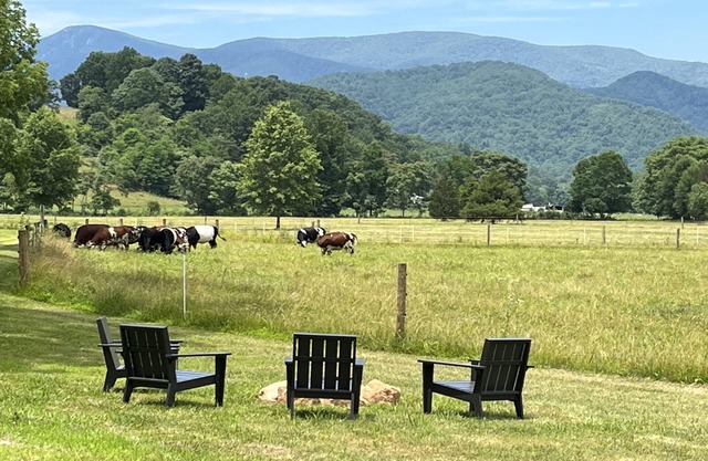 Fall is in full swing. No charge for the view!