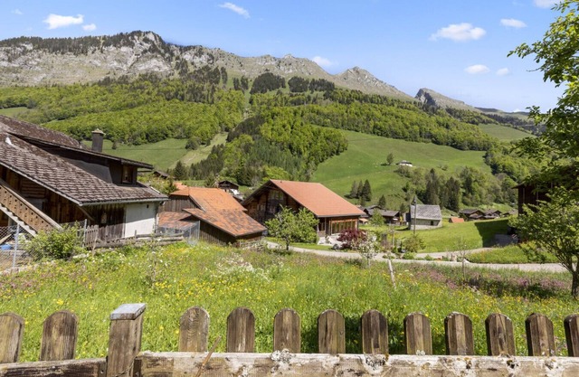Family and Nature in a Traditional Chalet