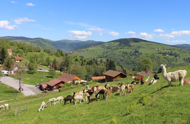 Family chalet in La Bresse, near hiking trails, WIFI, pets allowed