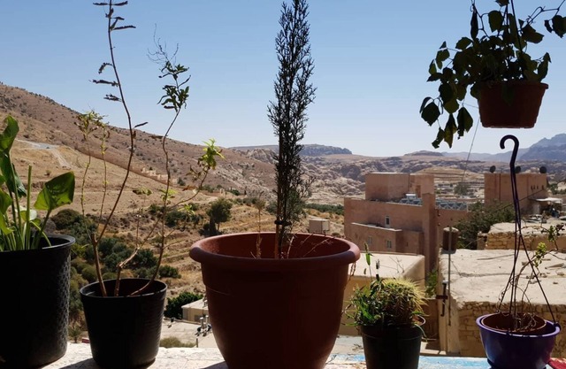 Family home in Petra, Live Petra like a local!