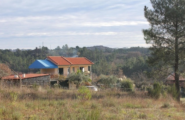 Farm holidays with vineyard