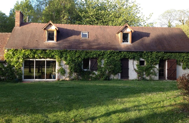 FARM IN THE MIDDLE OF HORSES