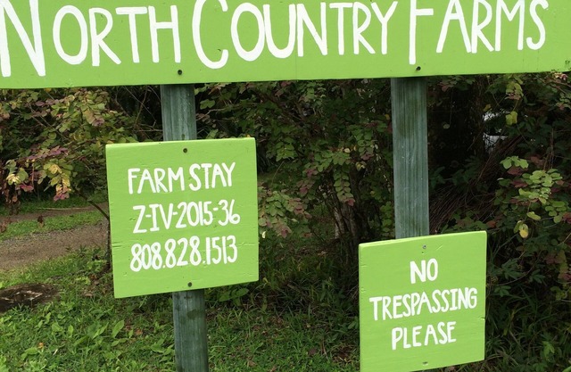 Farm Stay Cottage on Organic Farm