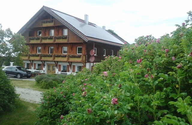 Farmhouse in quiet location/farmhouse in silent enviroment