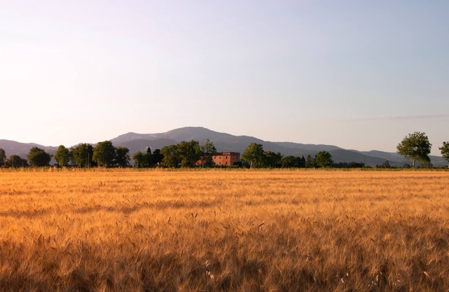 Farmhouse Pescinone - Ginestra, country and sea