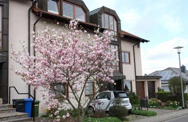 Ferienwohnung Unter dem Schwalbennest