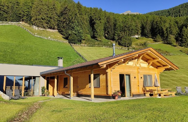 Ferienhütte Premstlahof - Chalet